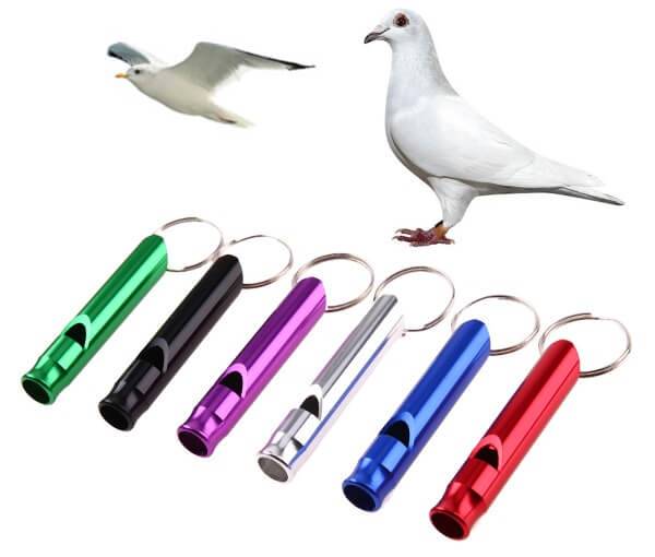 Как навсегда прогнать голубей с балкона – проверенные способы отпугивания птиц