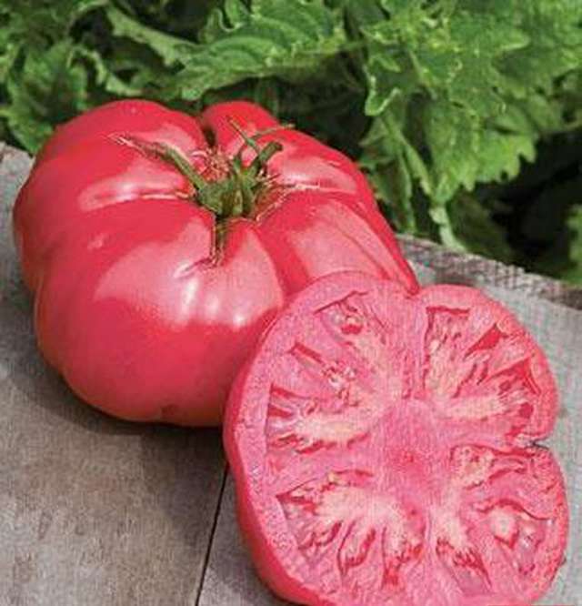 Один из лучших биф сортов из алтайской коллекции — томат розовый мясистый: описание помидоров
