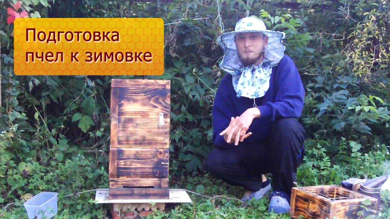 Календарь пчеловода. сентябрь