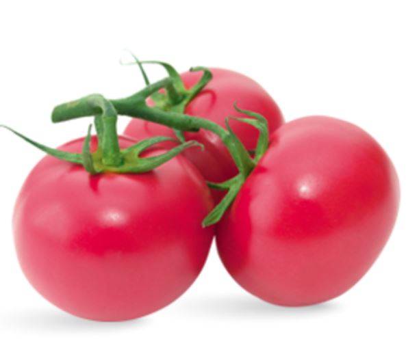 Сорт с восхитительным вкусом и урожаем — томат ольга f1: описание и характеристики