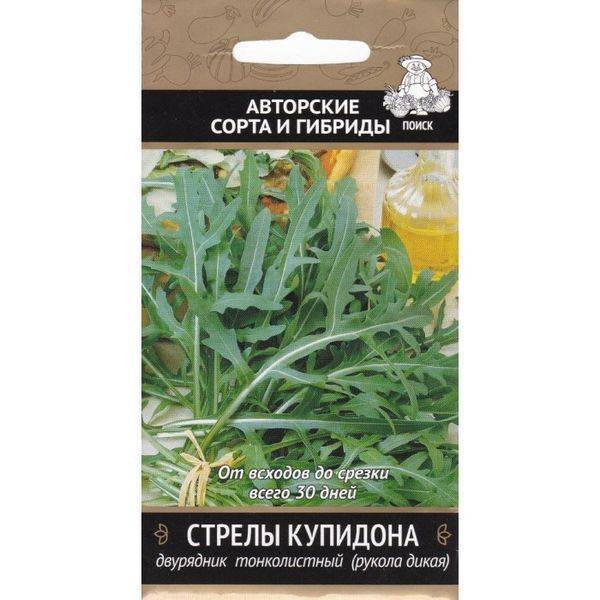 Салатное растение рукола — выращивание, полезные свойства, применение в кулинарии