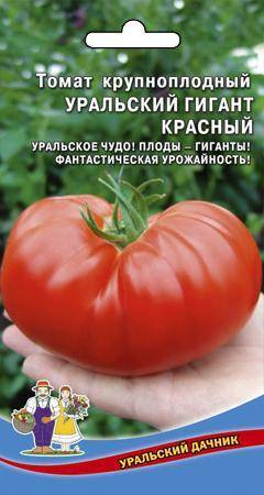 Томат Уральский гигант: отзывы, фото, урожайность