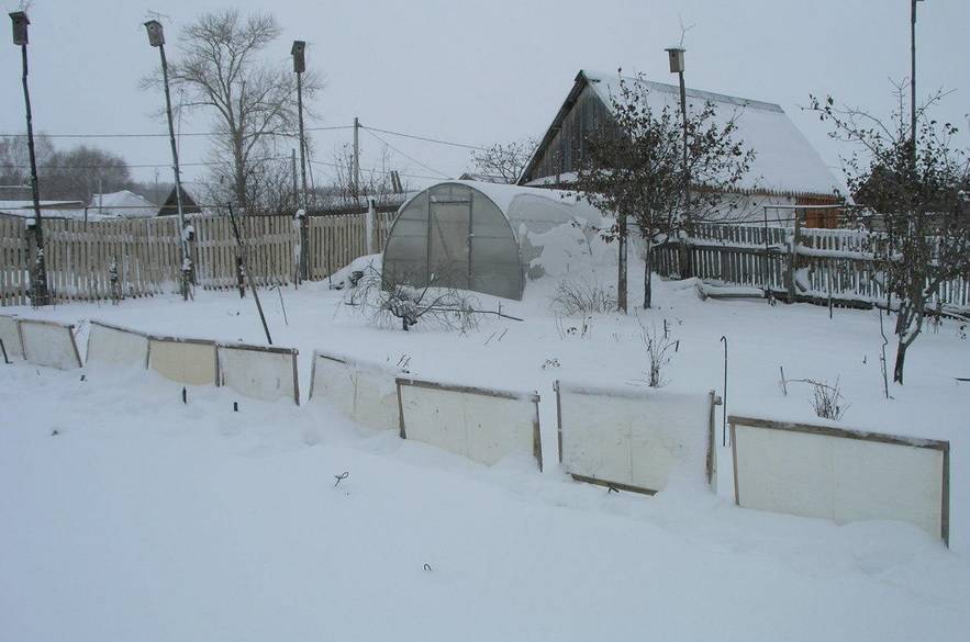 Зачем снегозадержание на полях и в огороде: фото, технология