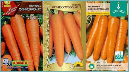 Морковь лосиноостровская 13: описание сорта, особенности выращивания
