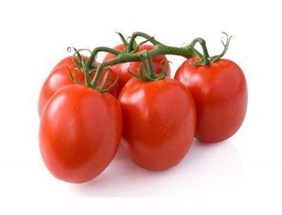 Лучшие сорта томатов для засолки и консервирования 