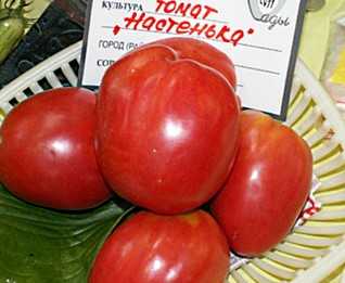 Особенности выращивания и ухода за томатом демидов