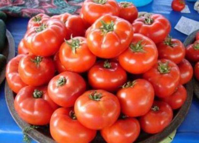Как выращивать томат сорта "красная шапочка"