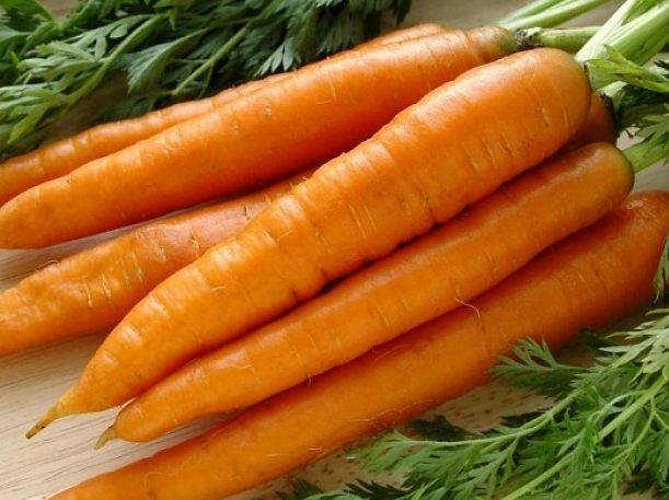 Лучшие ранние сорта моркови: фото, описание, отзывы