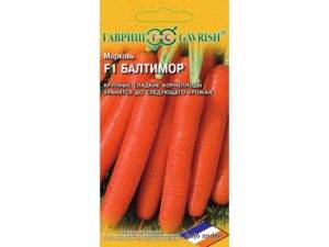 Морковь балтимор f1  (baltimore f1): описание сорта, фото, отзывы