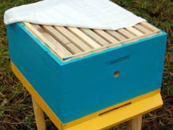 Как происходит зимовка пчел в многокорпусных ульях