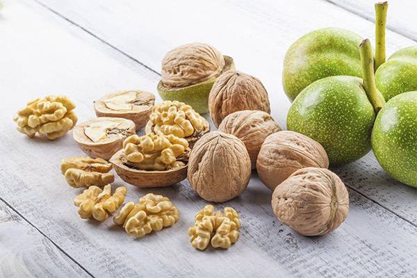 Грецкий орех: состав, калорийность, польза и вред для здоровья
