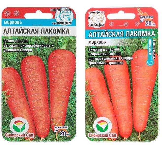 Самые лучшие сорта моркови для открытого грунта, хранения, ранние, крупные