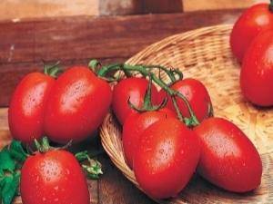 Рио гранде: описание сорта томата, характеристики помидоров, посев