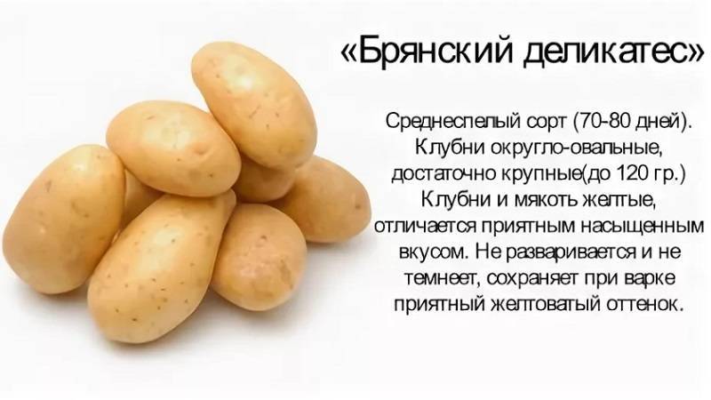 Картофель брянский деликатес