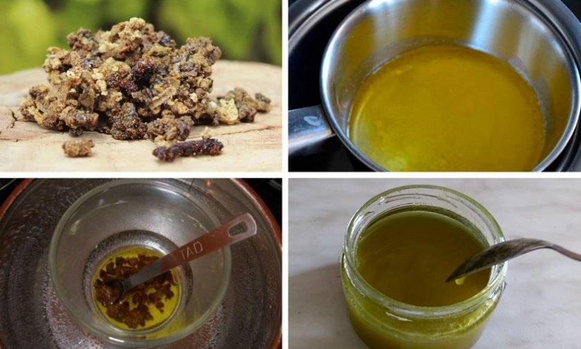 6 лучших рецептов прополисной мази своими руками