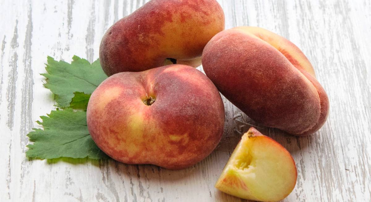 Удобрения для персика осенью, особенности ухода