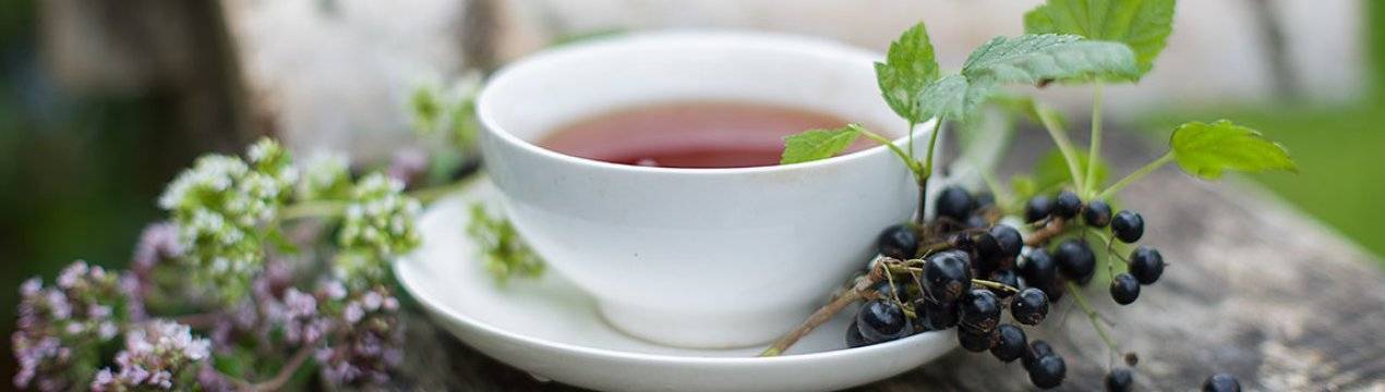 Из листьев черной смородины не первый год делаю ферментированный чай. хочу поделиться рецептом!
