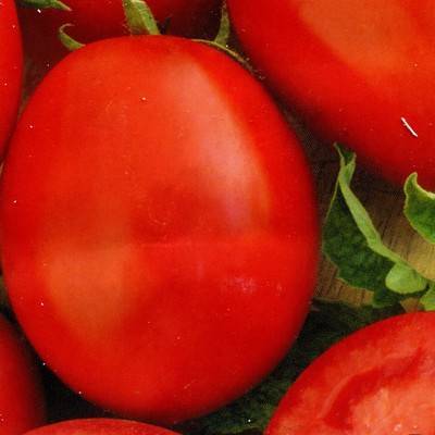 Урожайность и характеристика помидор валентина, отзывы о сорте