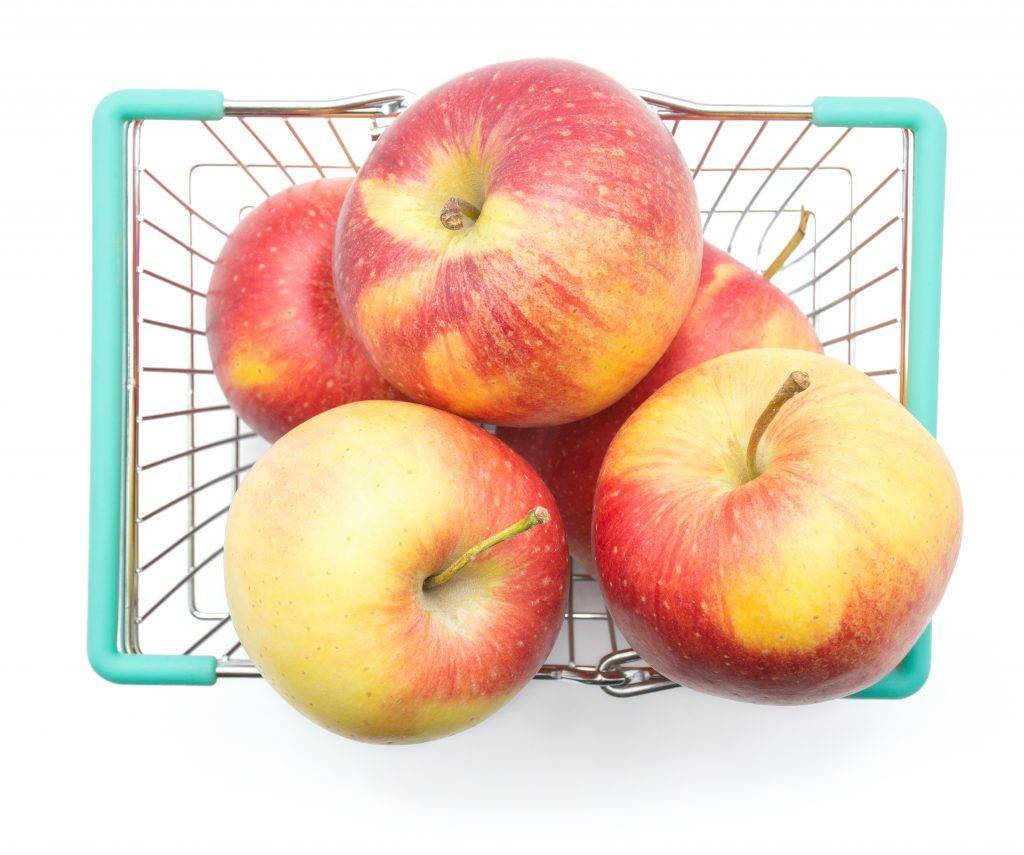 Периодичность плодоношения и урожайность яблони россошанское полосатое, отзывы садоводов