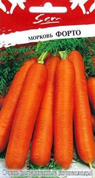 Болезни и вредители моркови: признаки, лечение и профилактика