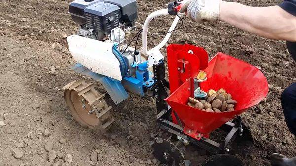 Технология посадки картофеля мотоблоком