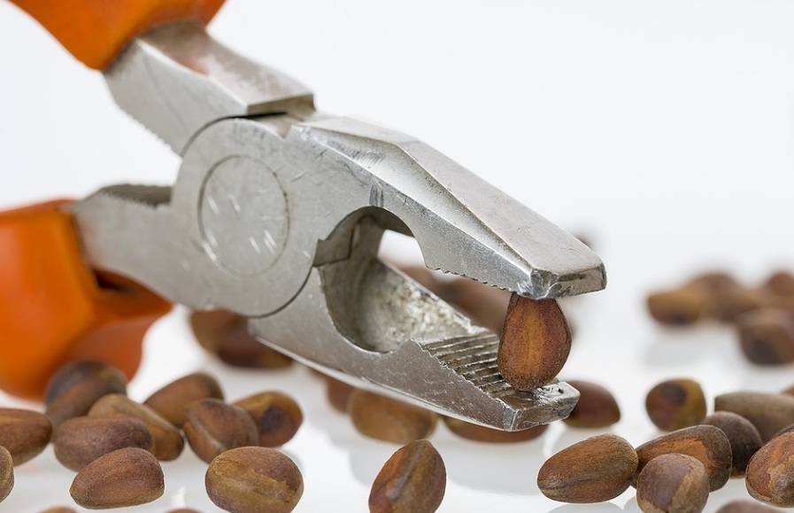 Как правильно почистить кедровые орехи?