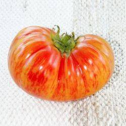 Описание томата сокровище инков: урожайность, отзывы, условия выращивания