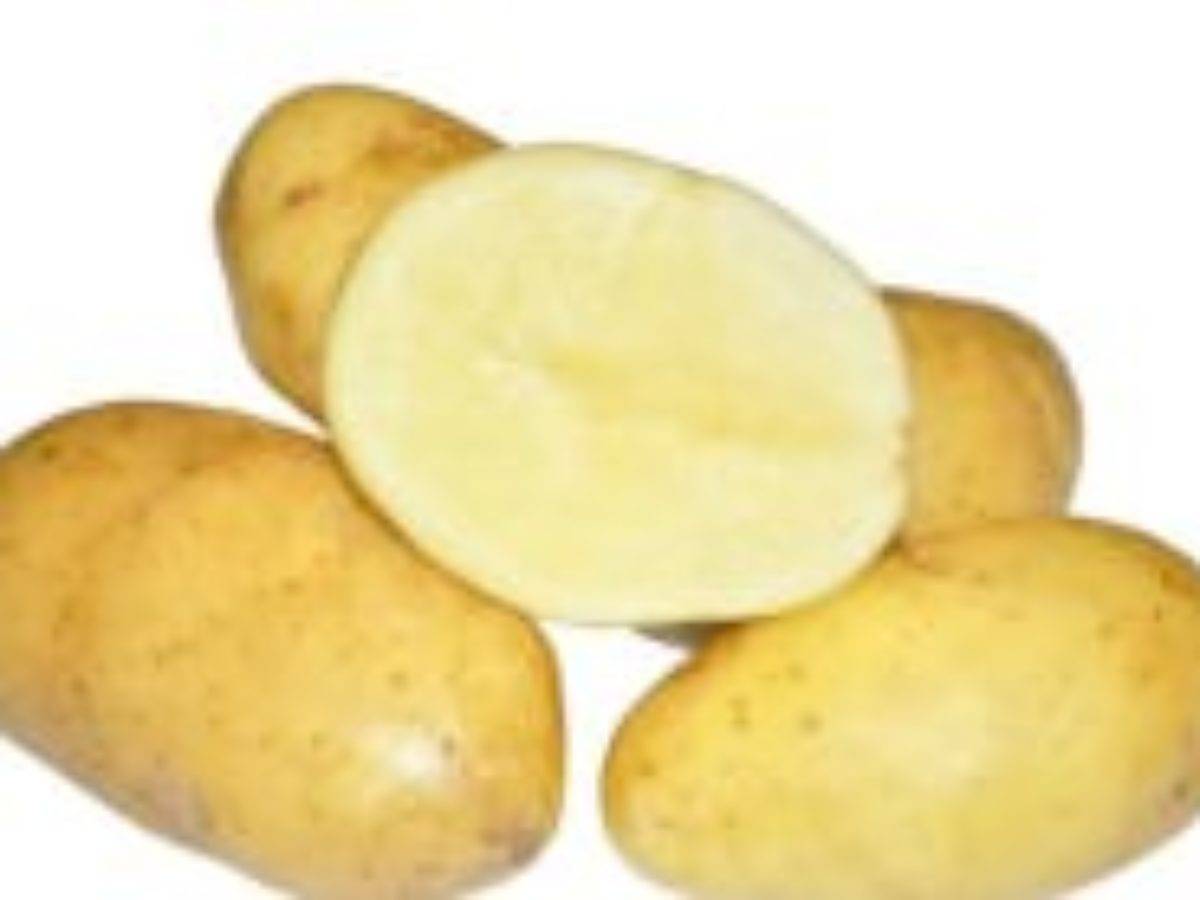 Картофель колетте