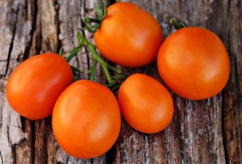Тепличный томатный гигант с большим урожаем — сорт томата «де барао царский»