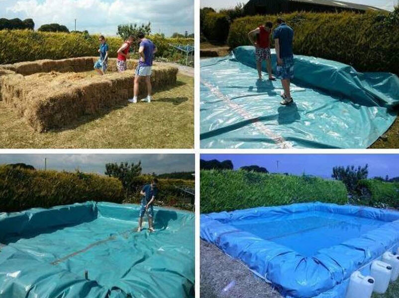 Бассейн в теплице: строим фантастическую крытую оранжерею с водным резервуаром (89 фото)