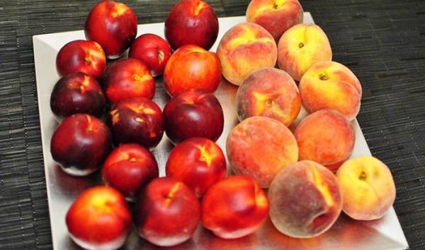 Сорта персиков: описание внешнего вида и советы по выращиванию в домашних условиях. 135 фото с названием