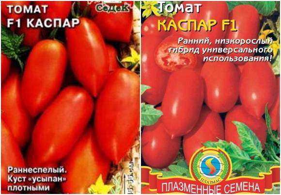 Идеальный для консервации сорт томата «каспар f1»: описание, характеристика, посев на рассаду, подкормка, урожайность, фото, видео и самые распространенные болезни томатов