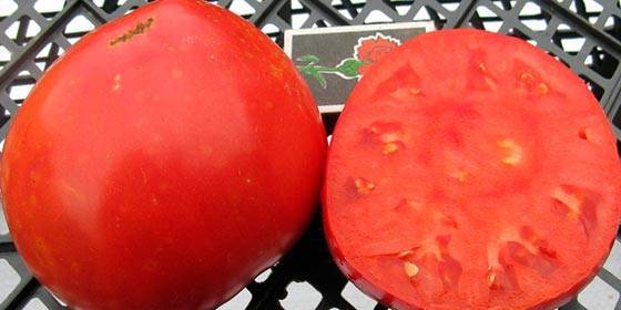 Шапка мономаха – царский помидор со своей грядки
