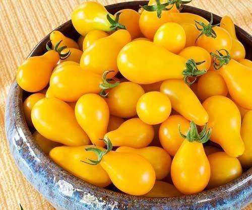 Сортовые томаты на моем огороде. лето 2019
