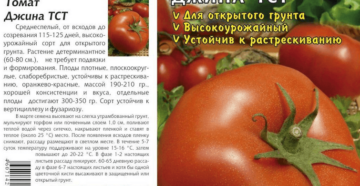 Характеристика и описание сорта томата джина: 7 показателей