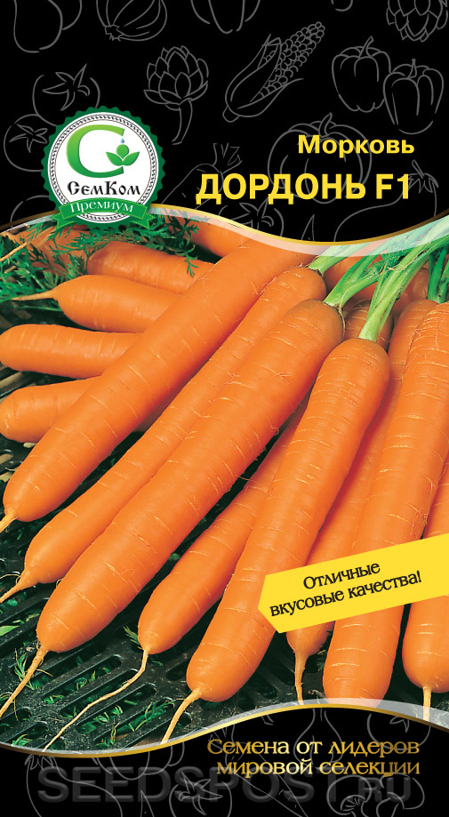 Морковь дордонь f1: отзывы, фото, урожайность.