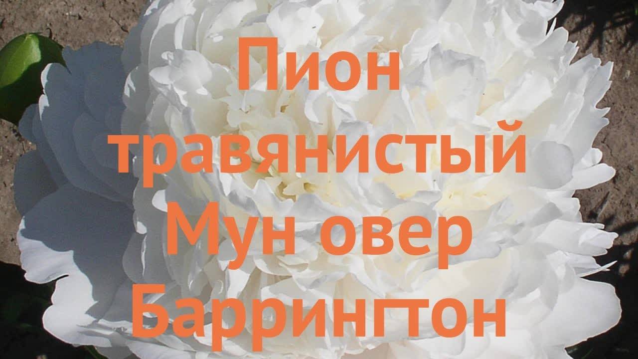 Мун овер баррингтон