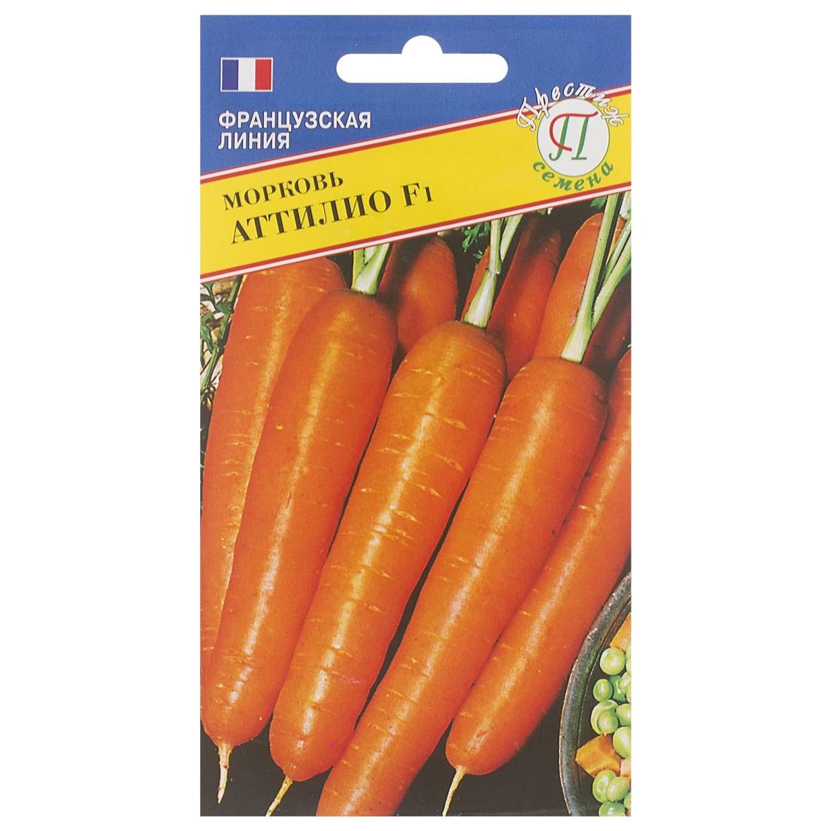 Позднеспелый столовый гибрид моркови болеро f1: описание и особенности выращивания