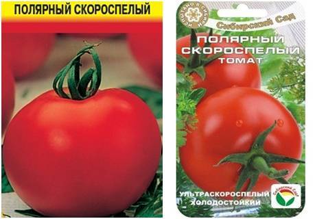 Сорт помидора «волгоградский розовый»: фото, видео, отзывы, описание, характеристика, урожайность