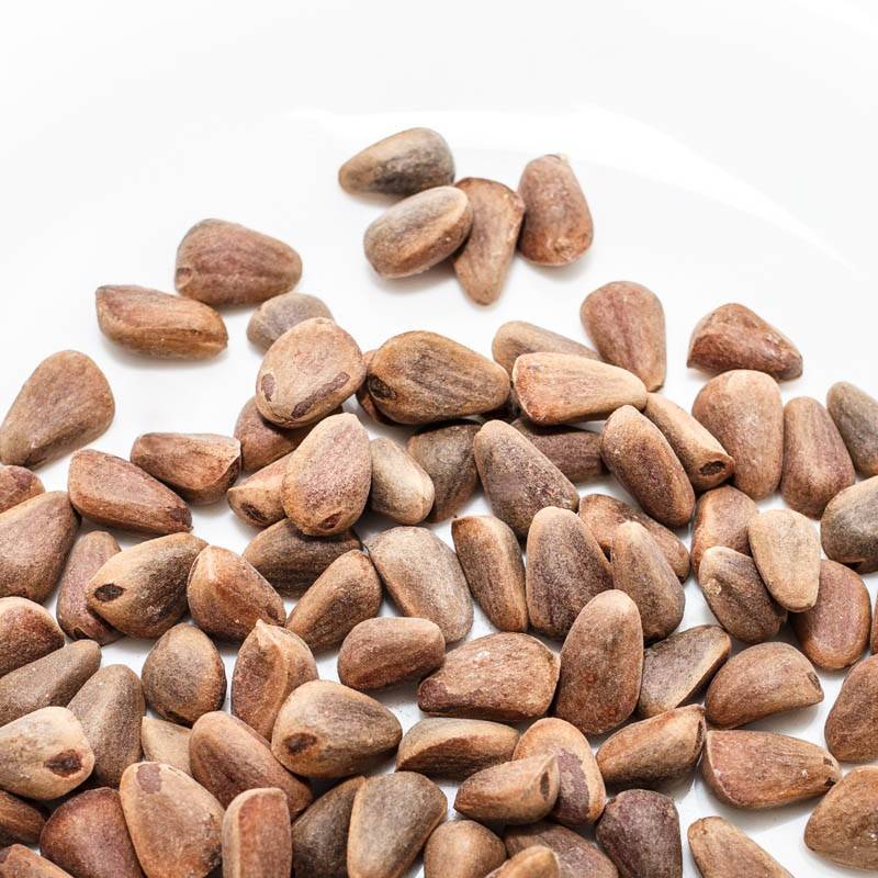8 лучших рецептов настойки кедровых орешков на спирту: для застолья и лечения