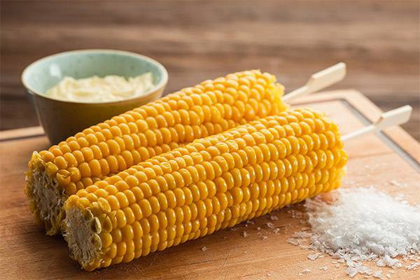 Чем полезна варёная кукуруза для человека