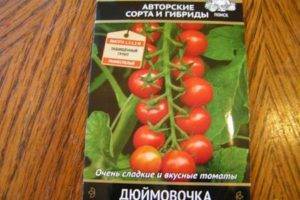 Как вырастить томат дюймовочка