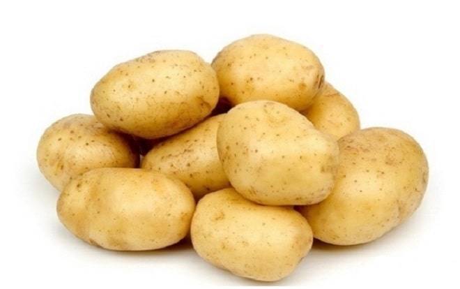 Ранняя звезда картофельных полей — картофель «вега»: описание и характеристики