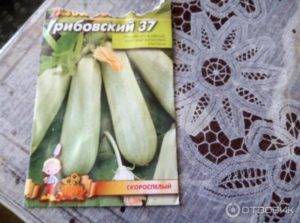 Кабачок «грибовский 37»: описание сорта с фото, как выращивать