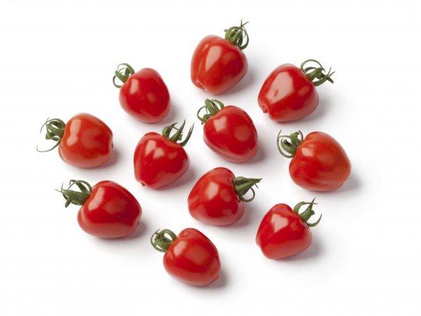 Сорт томатов «клубничное дерево» — сибирская устойчивость к болезням и высокая урожайность