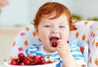 Польза и вред черешни для здоровья, калорийность и состав, как хранить ягоду