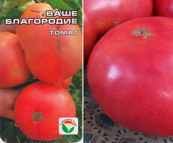 Сорт томатов «вечный зов»: характеристика, положительные отзывы