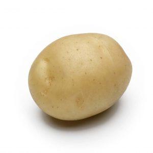 Картофель родриго: описание сорта, характеристики, выращивание и уход, отзывы