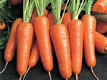 Топ-8 самых сладких сортов моркови для соков, салатов и пирогов