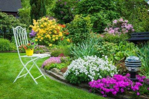 Как сажать гладиолусы в клумбу с другими цветами на садовом участке